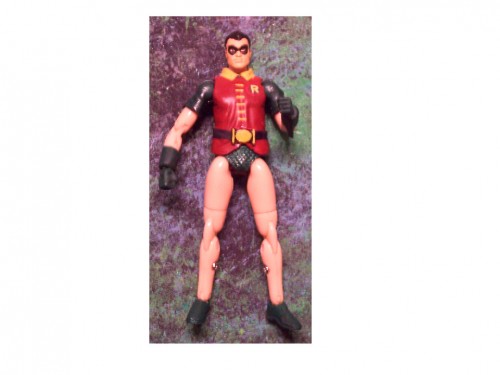 DC Custom Robin.jpg