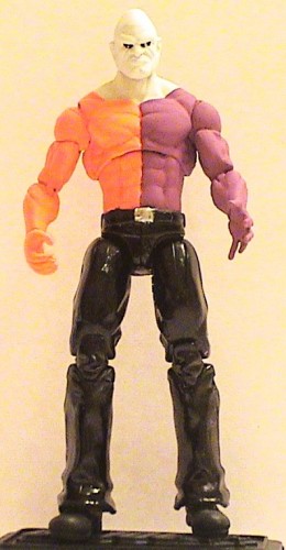 Metamorpho.JPG