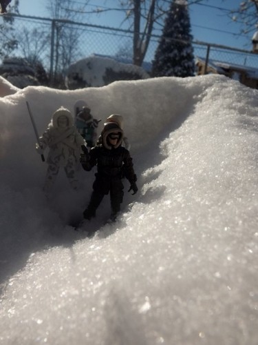 snow joes2.JPG