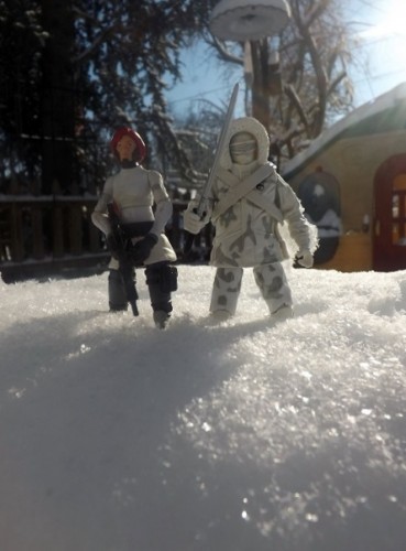 snow joes3.JPG