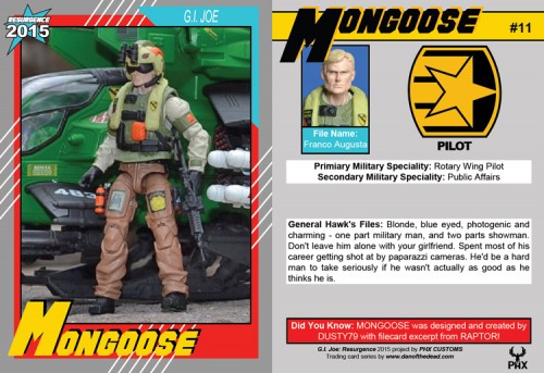 card11mongoose.jpg