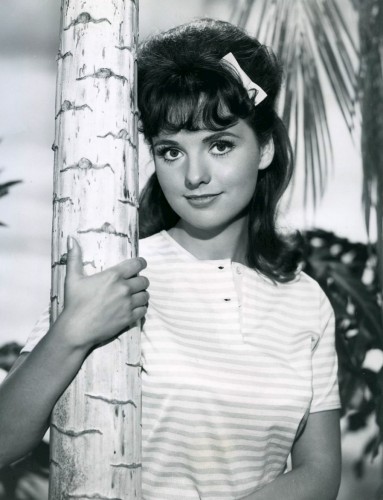 Dawn_Wells_Gilligan's_Island_1964.jpg