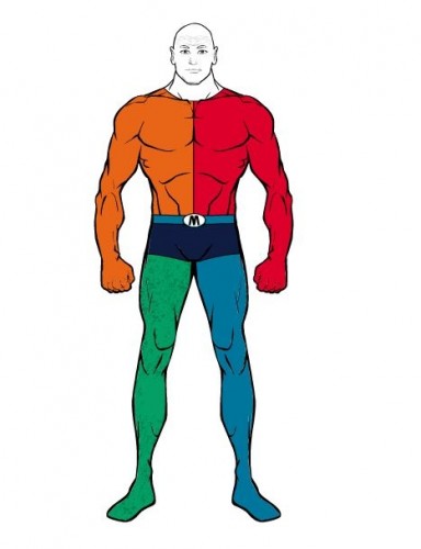 Metamorpho.JPG